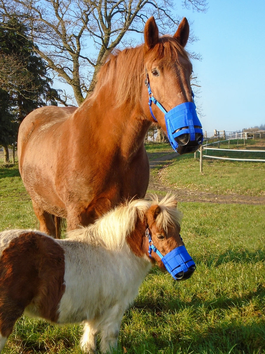 Anti-graas The Ultimate Muzzle Cob (Volbloed)