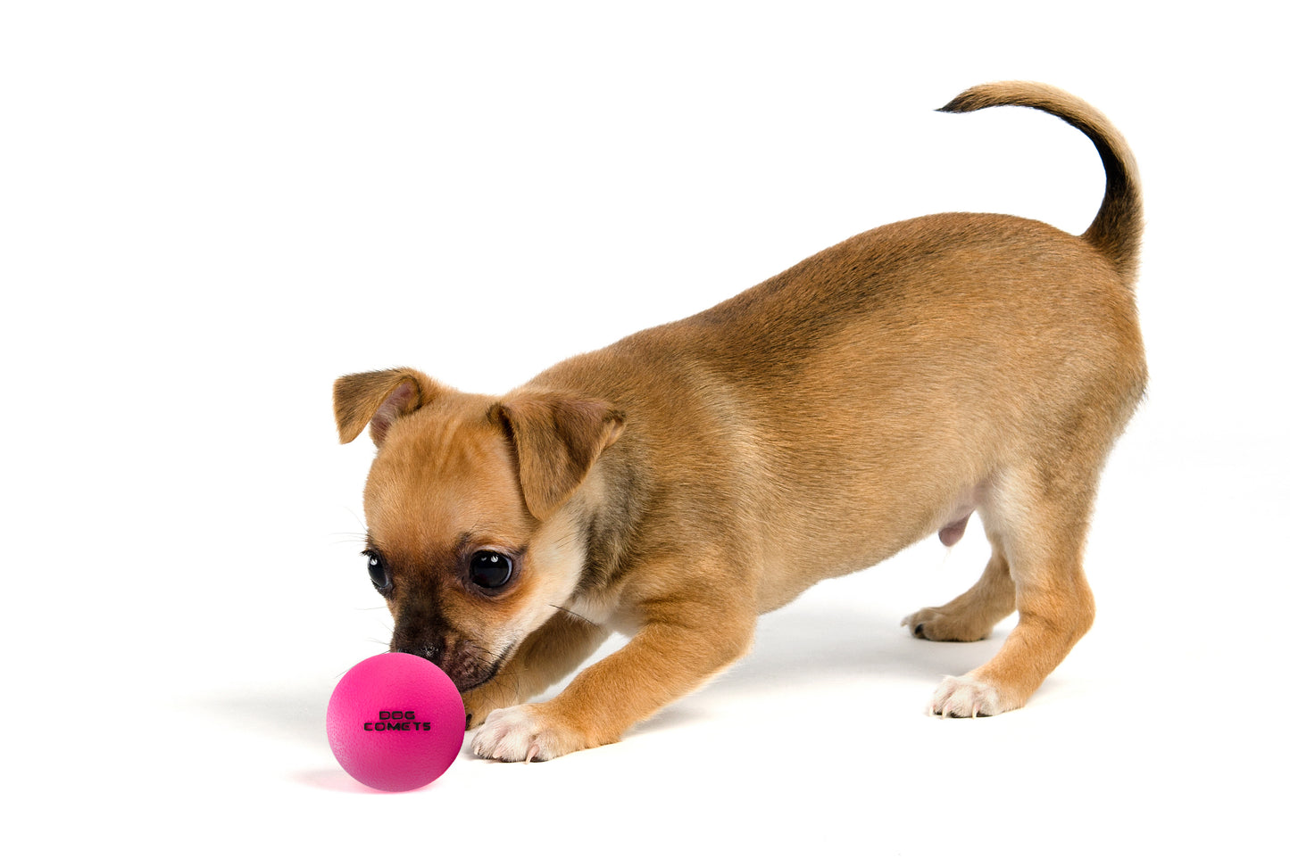 Dog Comets Ball Stardust Oranje S