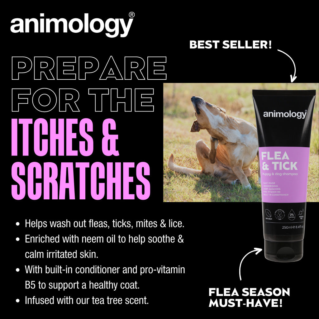 Animology Flea & Tick Shampoo