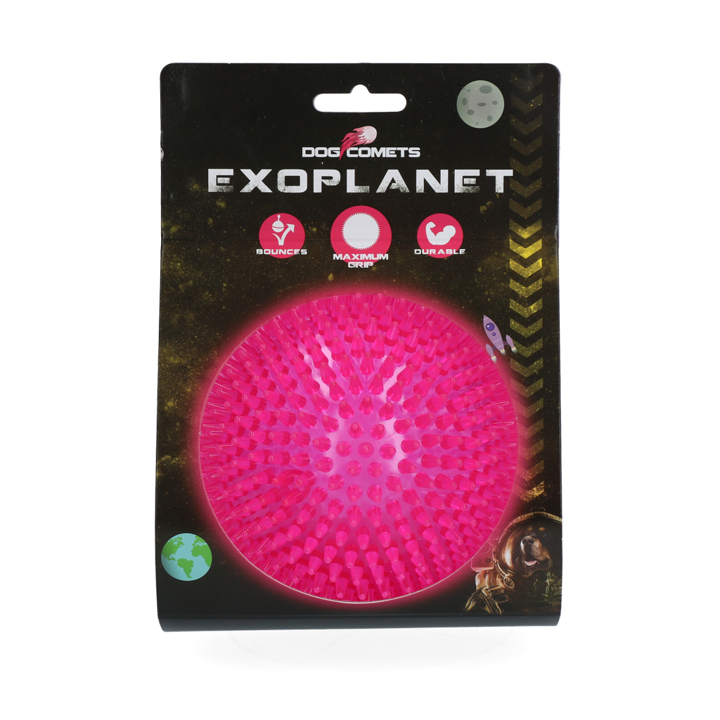 Dog Comets Exoplanet Orange S