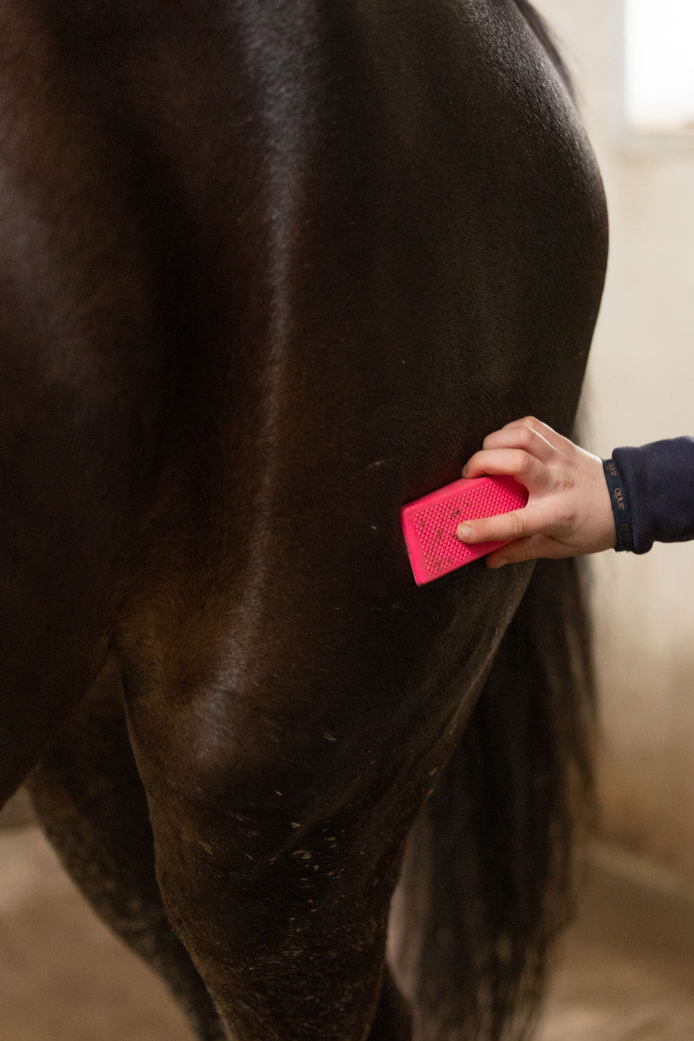 Excellent Horse Grooming Brush Medium roze
