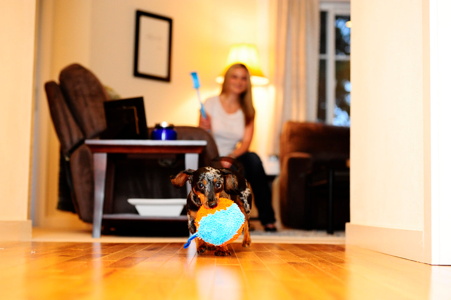 Chuckit Indoor Shaker