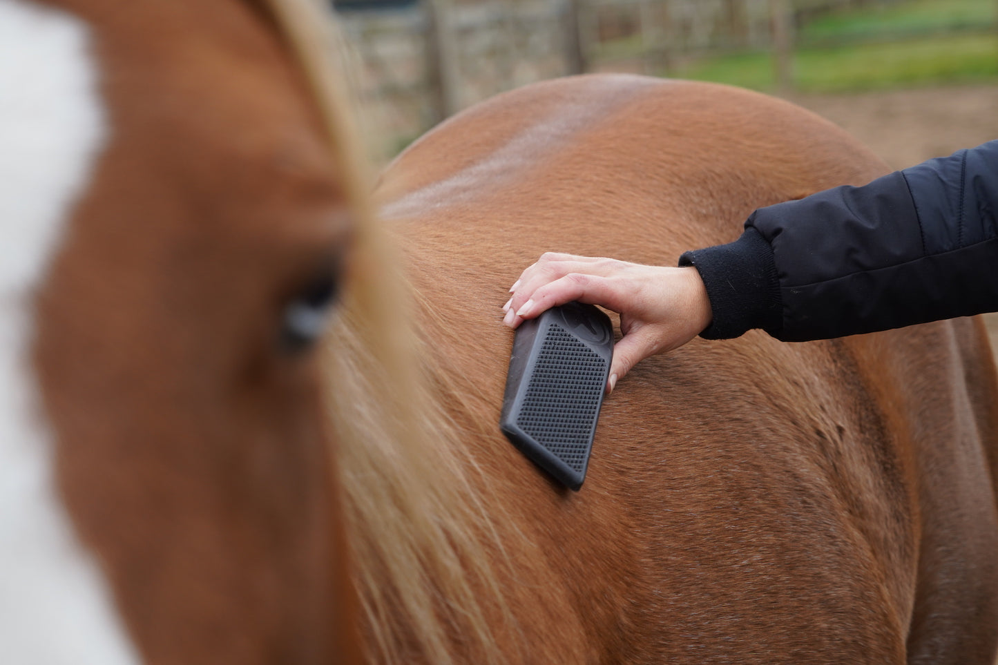 Excellent Horse Grooming Brush Medium zwart