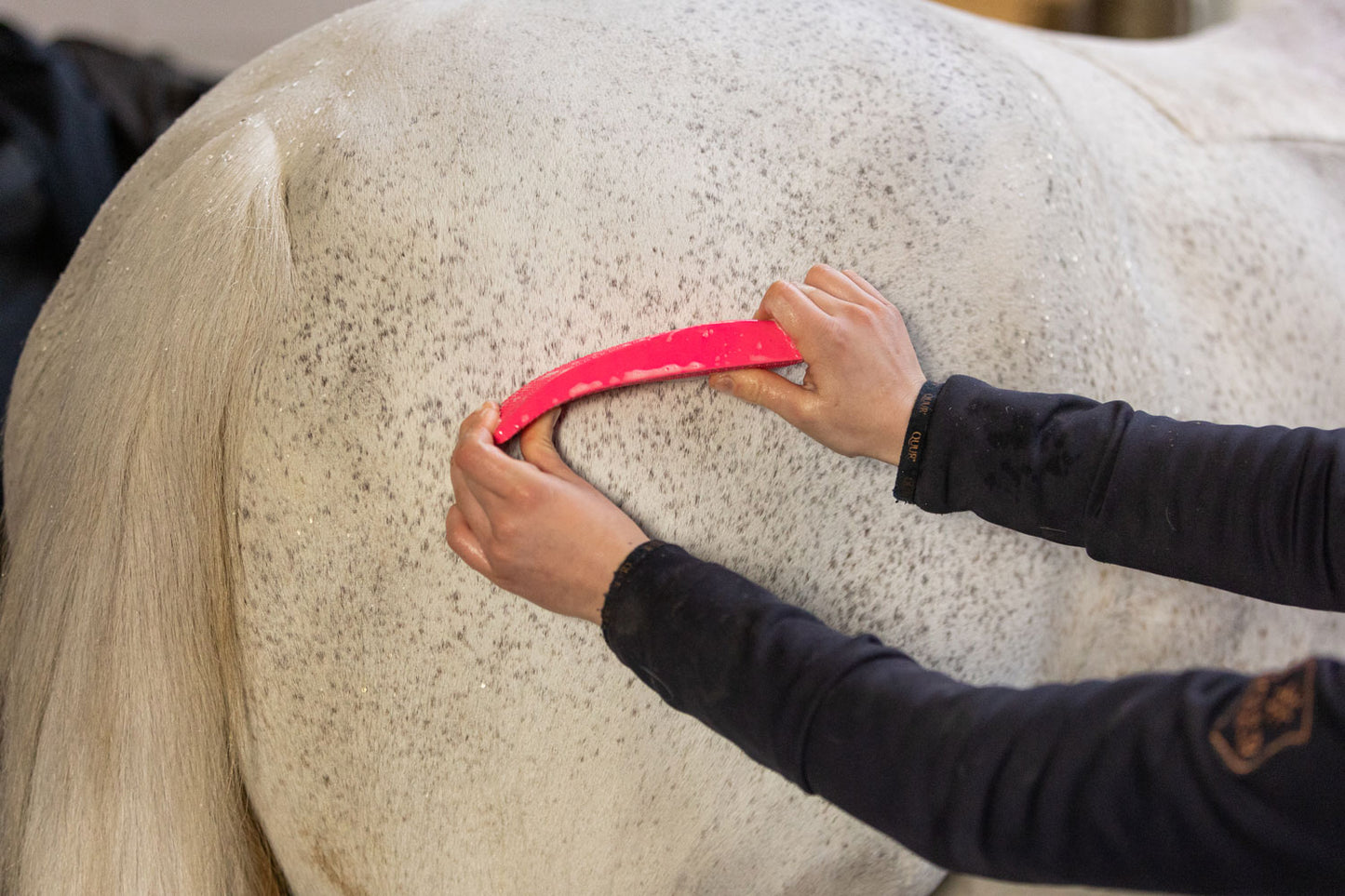 Excellent Horse Grooming Brush Medium roze