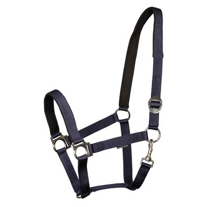 Halster Padded