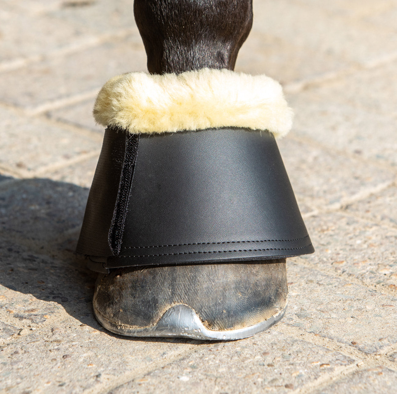 Springschoenen Merino
