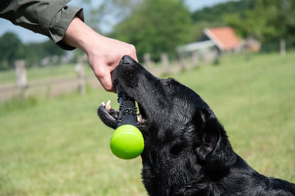 Dog Comets Meteor Werpstok groen S