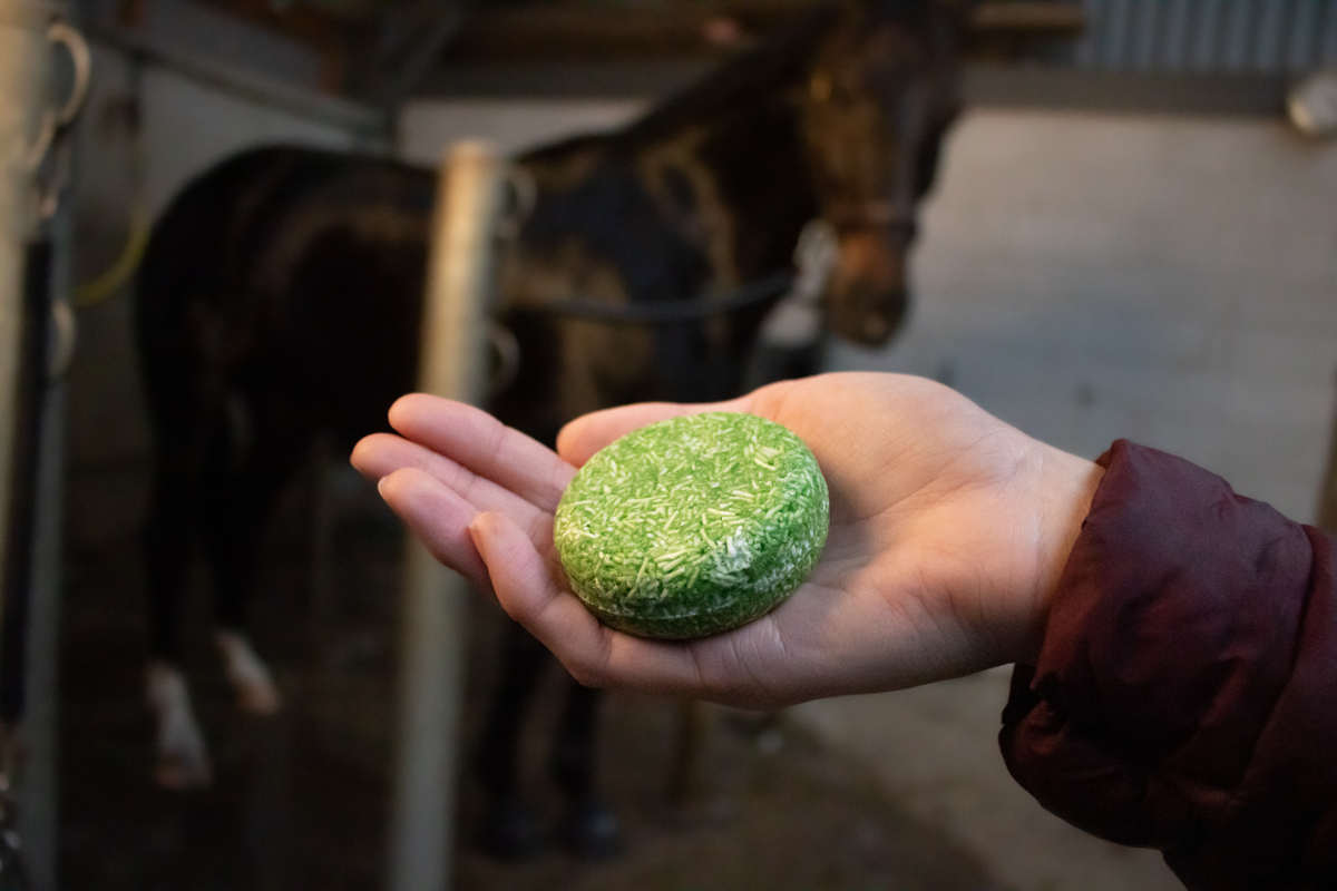 Excellent Horse Hi Gloss Shampoo Bar Appel 60 g