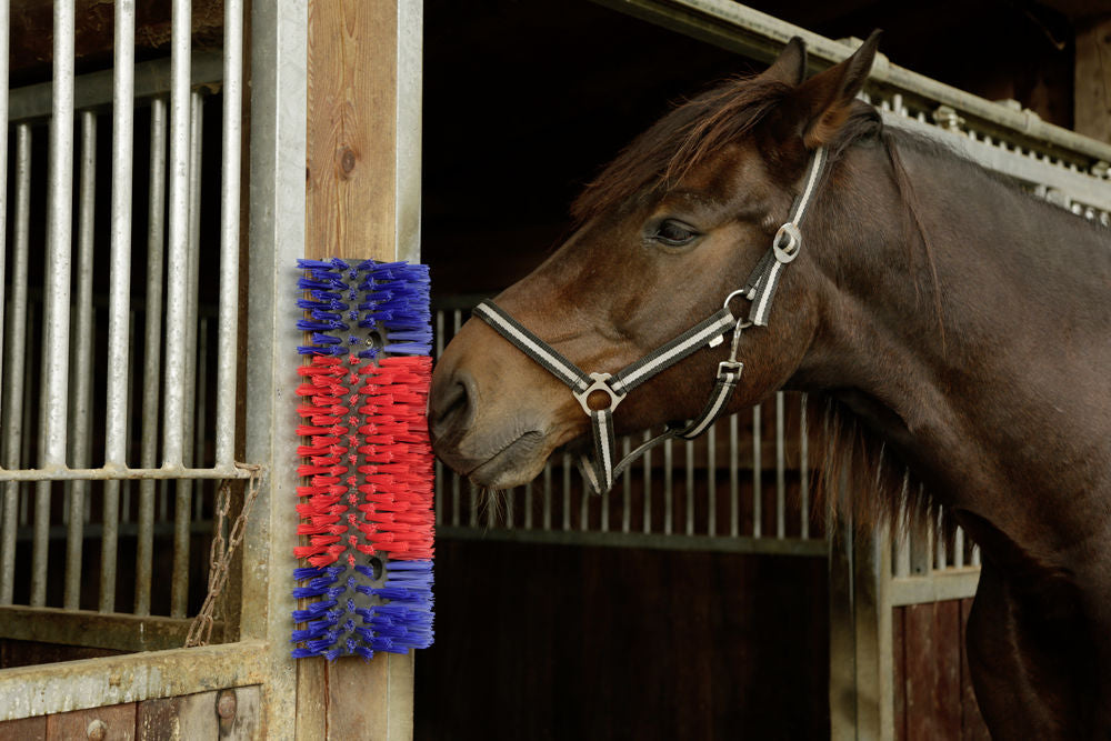 Borstel voor Paard, Rund, Geit