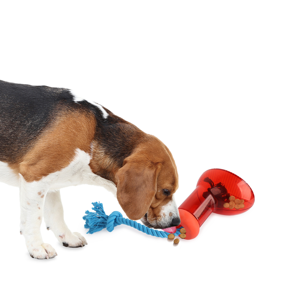 AFP Doggies&#039; Shoes - Big boot dispenser L
