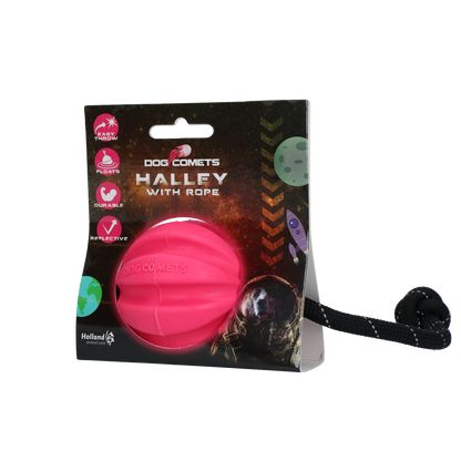 Dog Comets Ball Meteorite Roze
