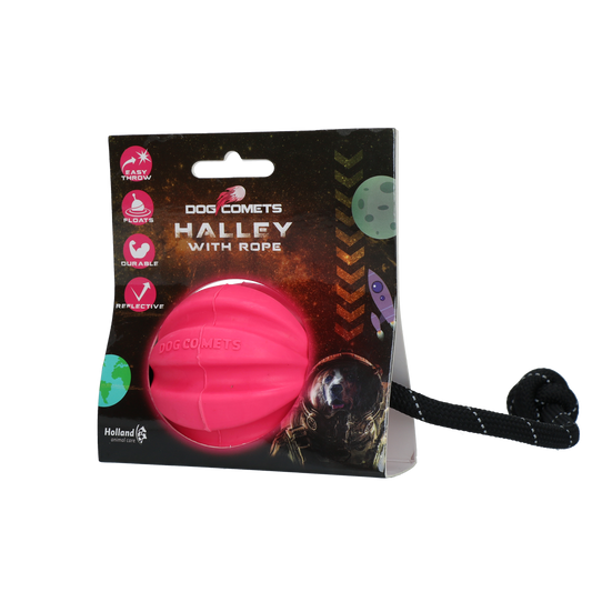 Dog Comets Ball Meteorite Roze