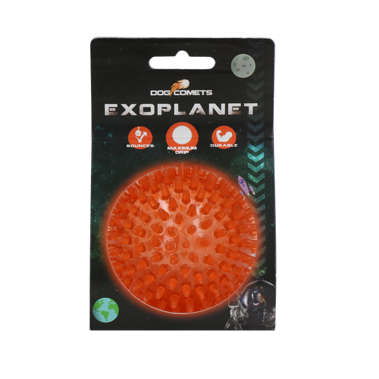 Dog Comets Exoplanet Orange L