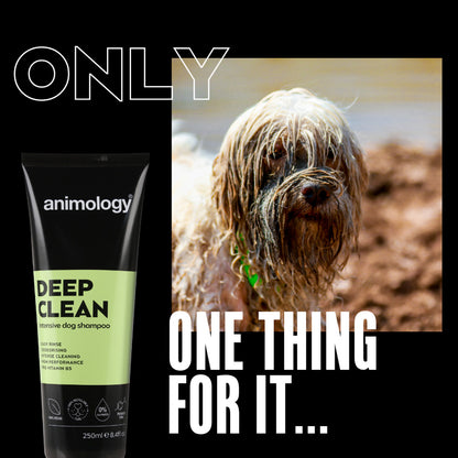 Animology Deep Clean Shampoo