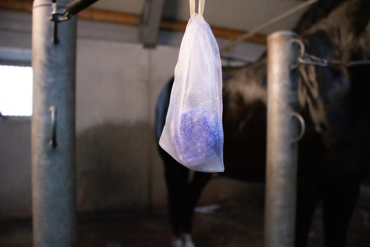 Excellent Horse Hi Gloss Shampoo Bar Honing 60 g