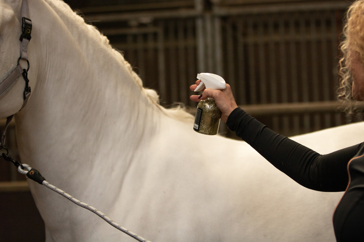 Excellent Horse Hi Gloss Glitter Spray Silver 250 ml