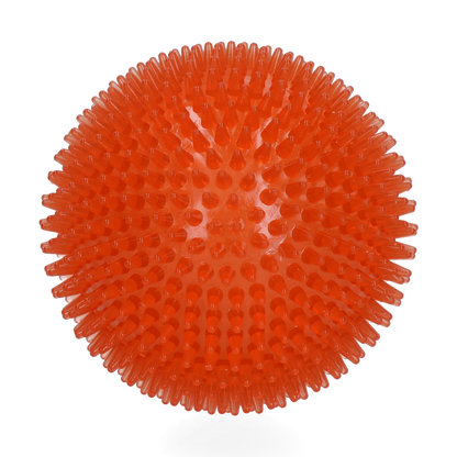 Dog Comets Exoplanet Orange S