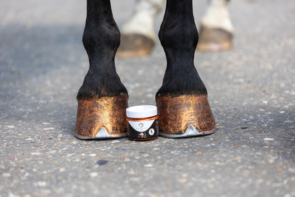 Excellent Horse Hi Gloss Glitter Hoof Polish Pink 150 ml