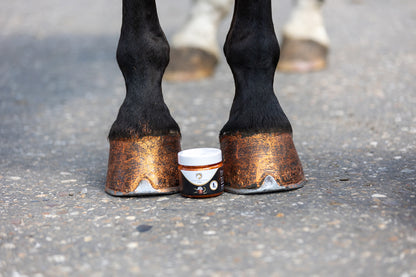 Excellent Horse Hi Gloss Glitter Hoof Polish Pink 150 ml