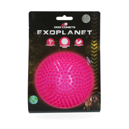 Dog Comets Exoplanet Orange S