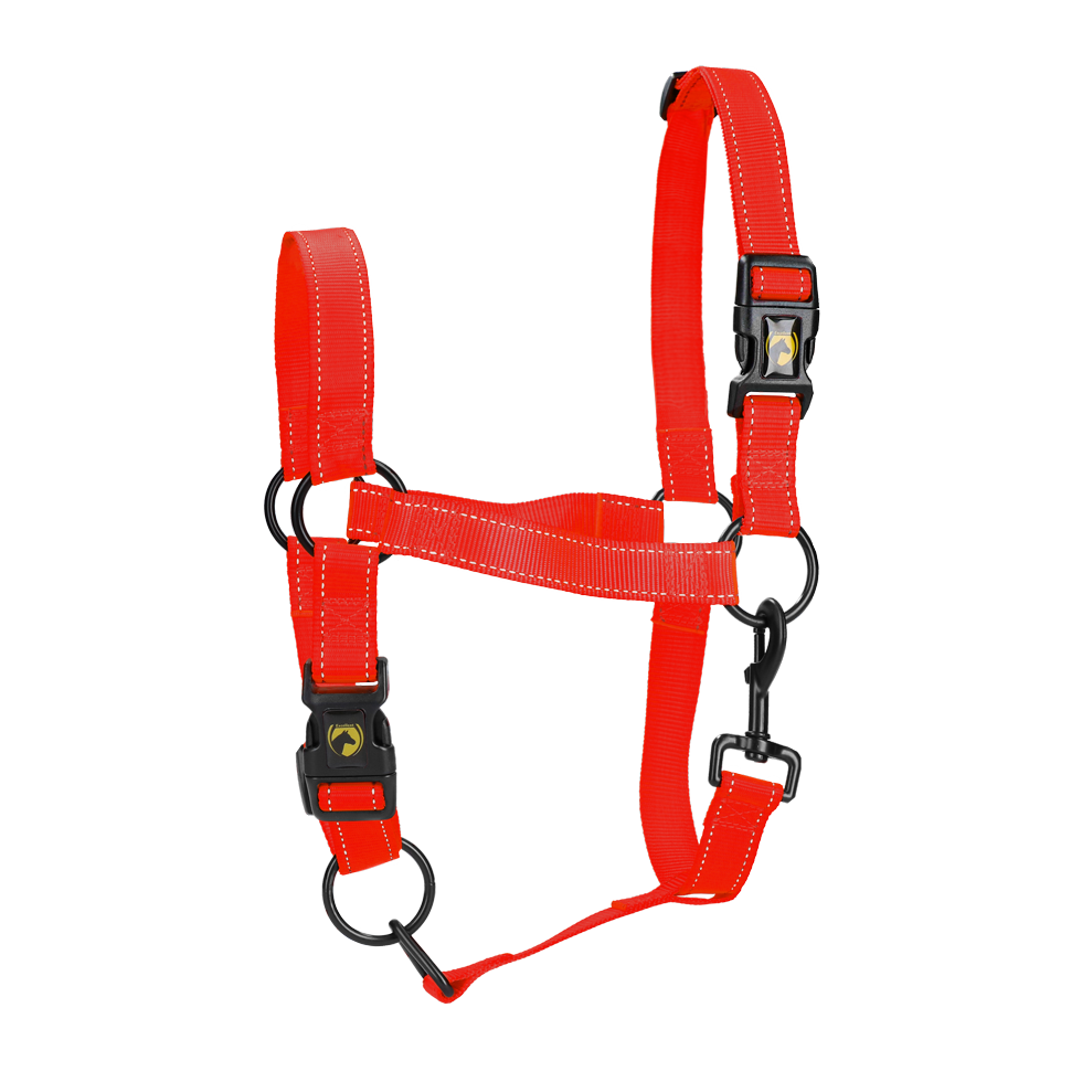 Excellent Horse Premium Halster M Pony Rood