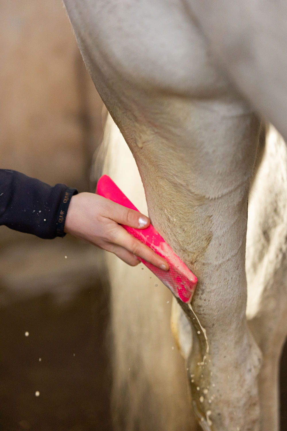 Excellent Horse Grooming Brush Medium roze