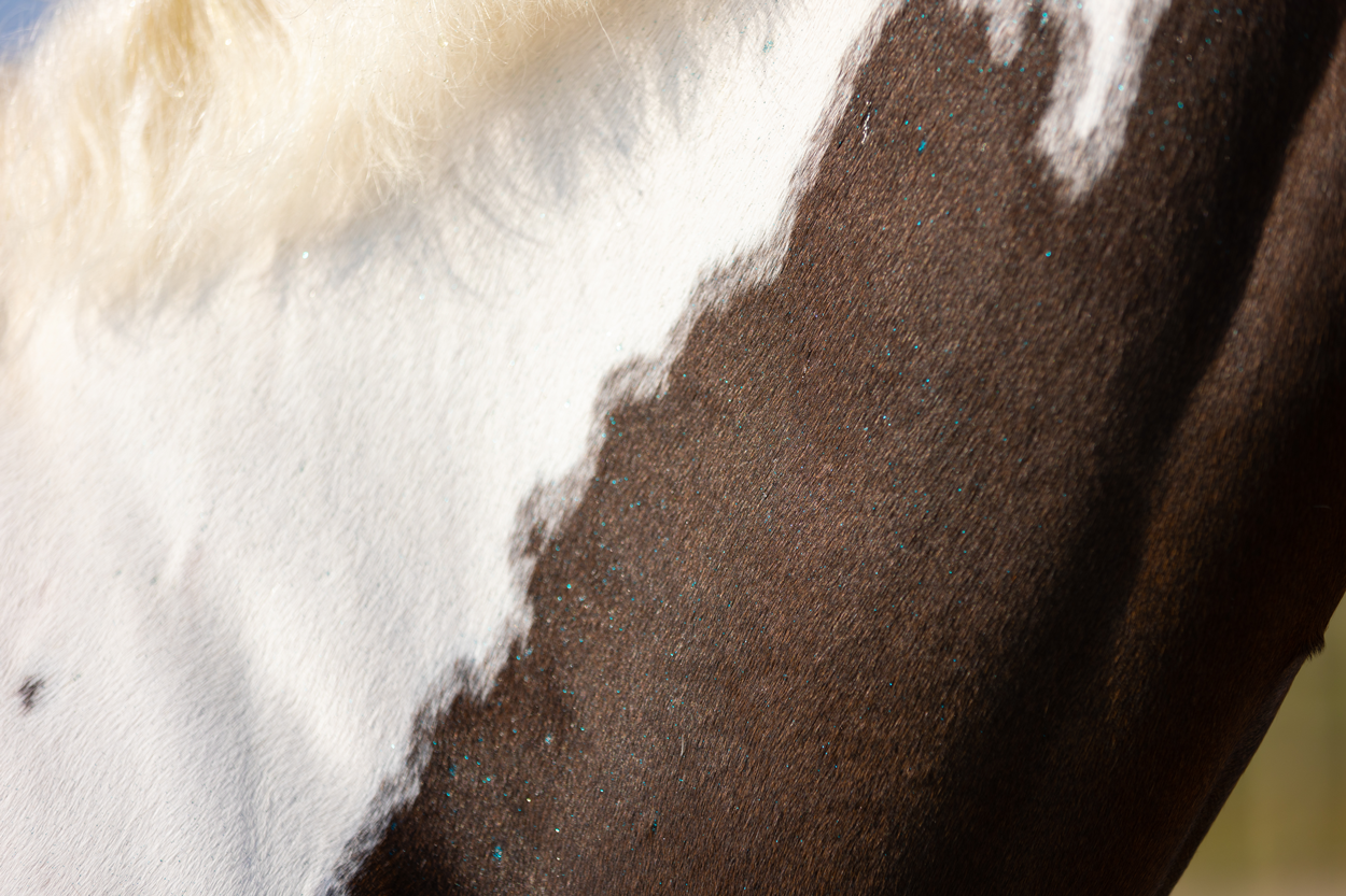 Excellent Horse Hi Gloss Glitter Spray Turquoise 250 ml