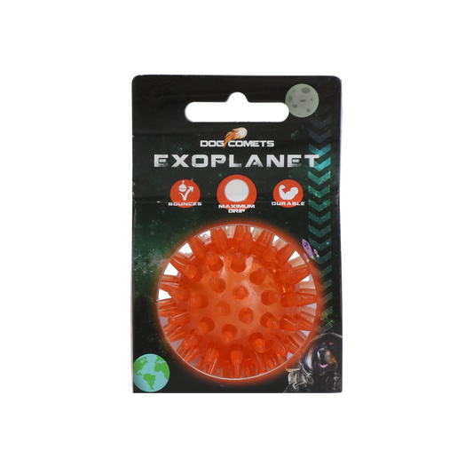 Dog Comets Exoplanet Orange M