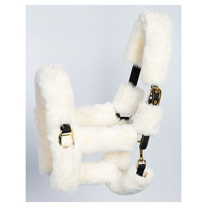 Halsterbontjes Furry