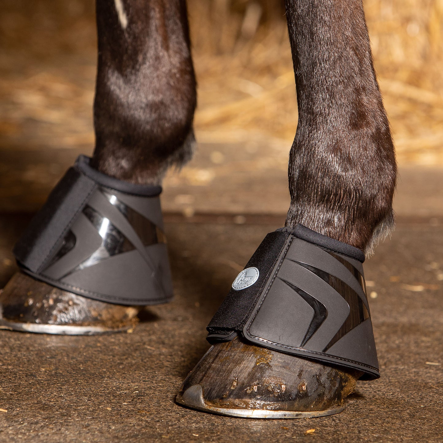Springschoenen Pro-high