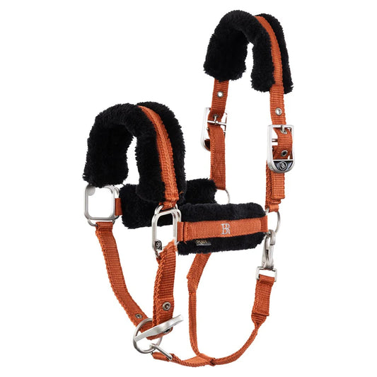 Halster 4-EH Diego Mecca Orange - Cob