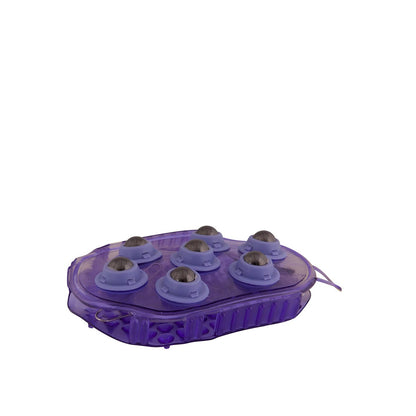 Premiere magneet/massageborstel