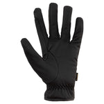 BR handschoenen Warm Durable Pro