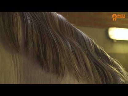 Paardenpraat Rainbow Glitter Spray